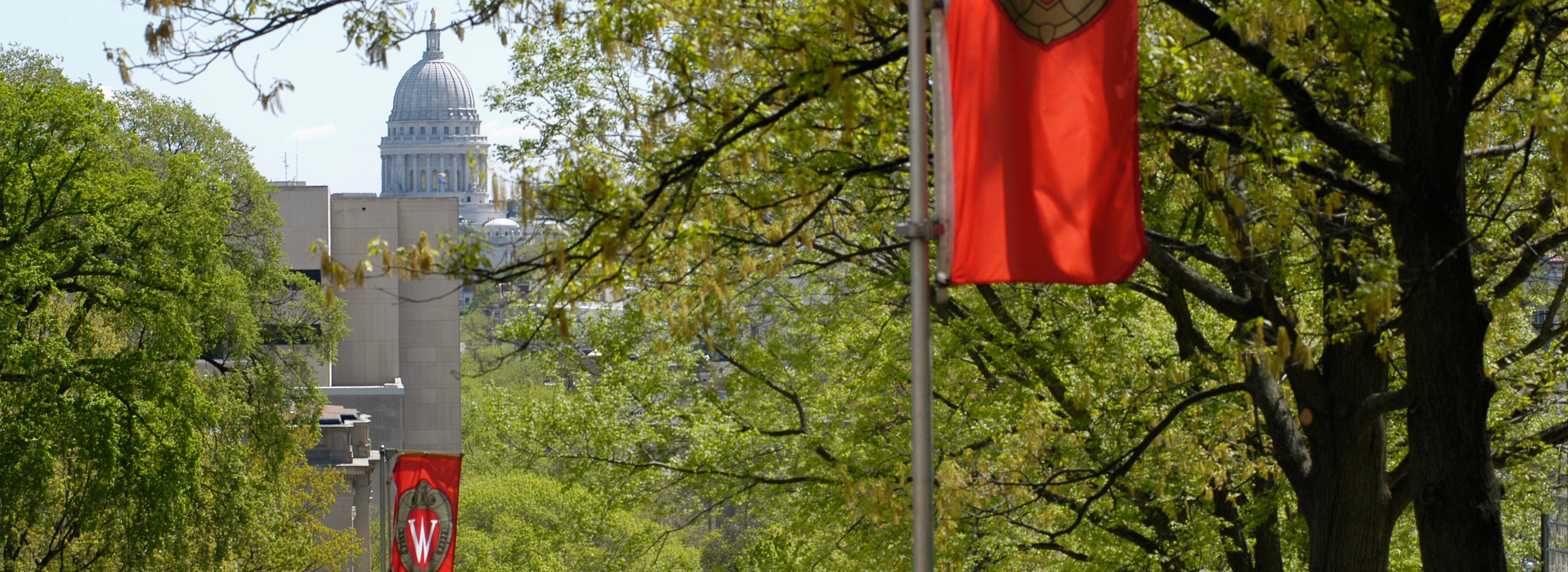 "W" crest banners hang on Bascom Hill during spring. In the background is the Wisconsin State Capitol dome. (Photo by Jeff Miller)